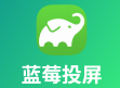 蓝莓投屏